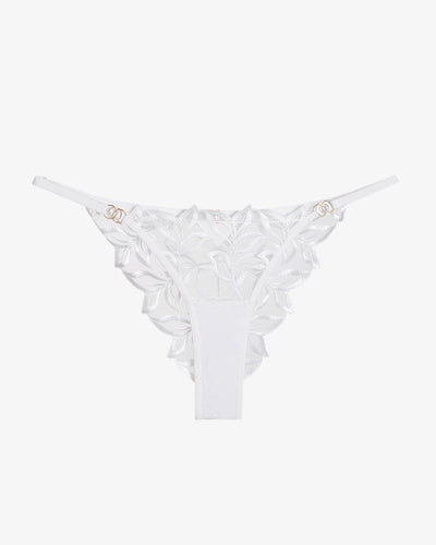 Embroidered Lace Panty